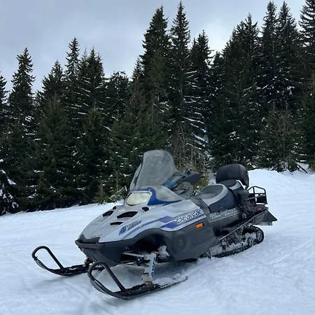 Forest View Jahorina