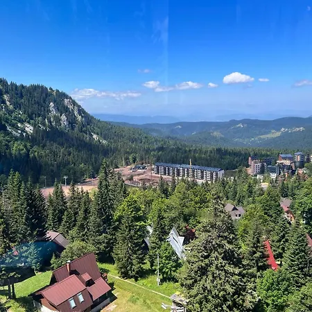 Forest View Apartment